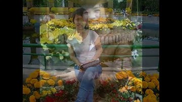 12A11 Trường THPT Sơn Mỹ 2009-2012