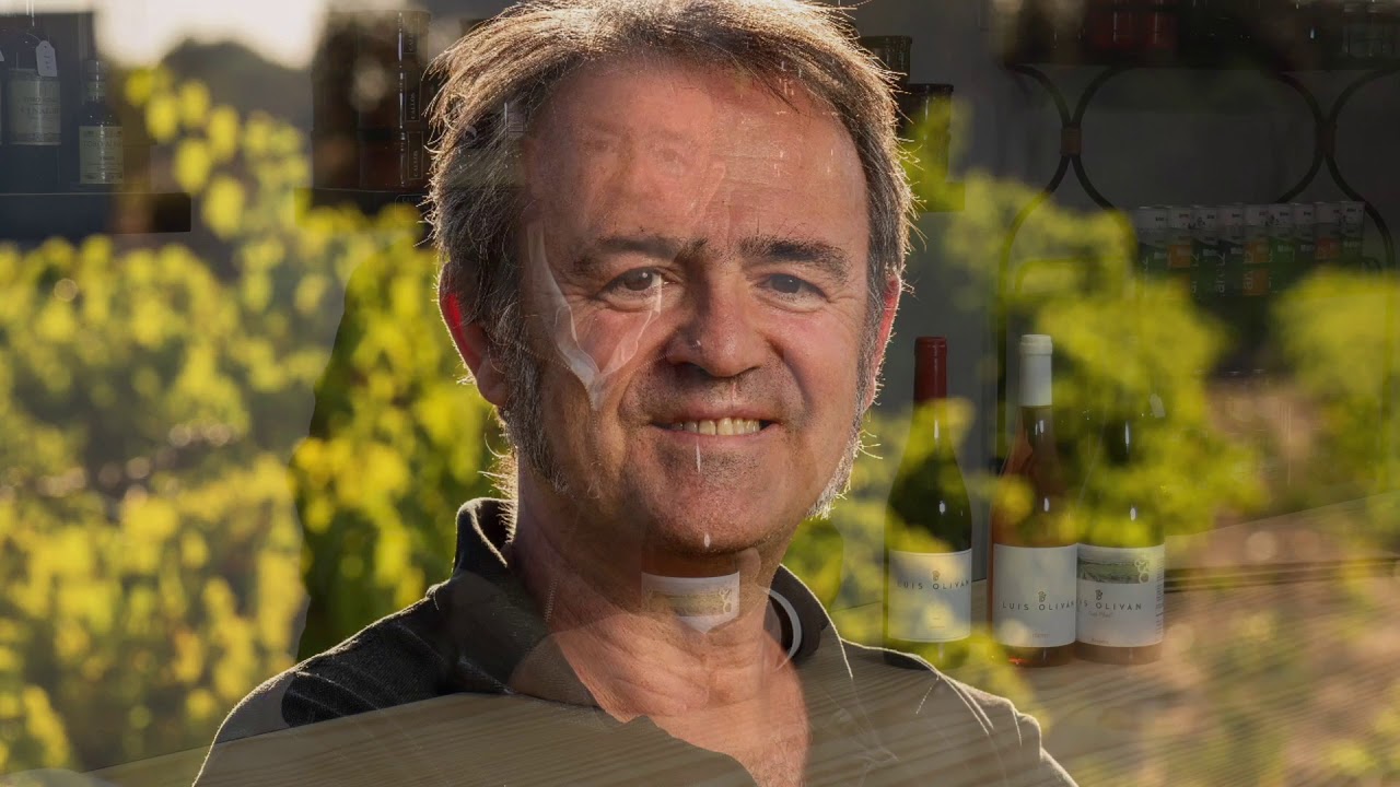 VINOS Y VIÑEDOS  LUIS OLIVAN