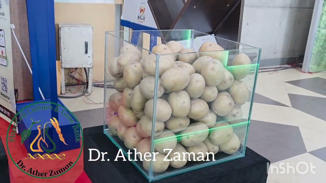 Agrico of Holland exposing their seed Potatoes at International Potato  fare 2025. 