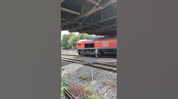 class 66 66136 (DB) passing Leicester 1/7/25  #trainspotting #class66 #db #railfreight #railway