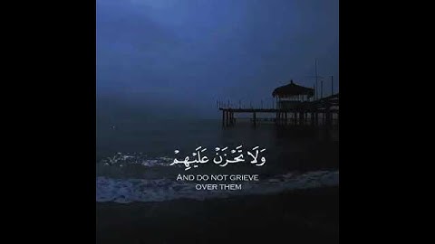 سورة النحل | القارئ اسلام صبحي