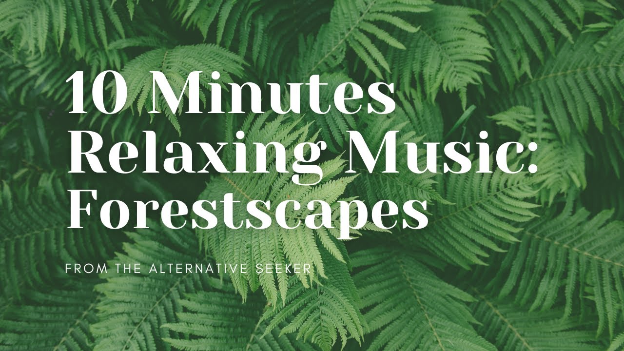 Music for Relaxation: Forestscapes