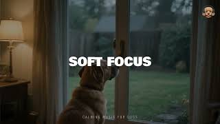 Soft Focus – Bark & Chill | Peaceful Music for Dogs and Their Humans screenshot 2