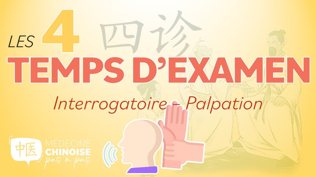 #31 - SI ZHEN – 4 Temps d’examen / INTERROGATOIRE - PALPATION - Médecine Traditionnelle Chinoise