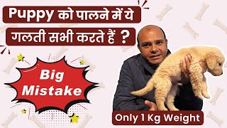 Avoid these mistakes with your Puppy - By Baadal Bhandaari