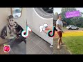 Compilation tiktok  regarder entre amis 