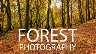 Forest Photography in Scotland - Tips and Techniques