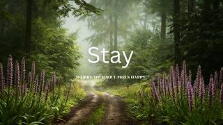 Stay Where Your Soul Feels Happy 🌲🌸 Soft Piano for Anxiety Relief , Emotional Exhaustion at Night screenshot 5