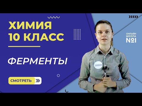 Ферменты. Урок 31. Химия 10 класс