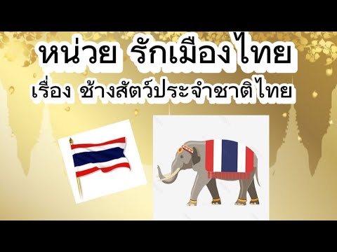 หน่วยรักเมืองไทย เรื่องช้างสัตว์ประจำชาติไทย #ครูส้ม #อนุบาล1