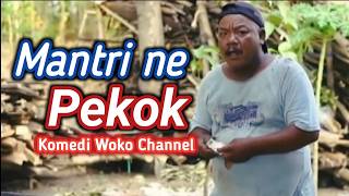Mantrine Pekok ‼️Woko Channel #wokochannel #jawa comedy #comedy #funny comedy