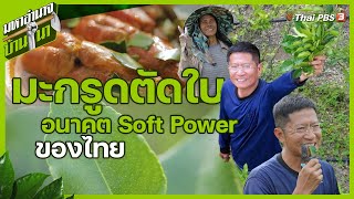 มะกรูดตัดใบ อนาคต Soft Power ของไทย | มหาอำนาจบ้านนา screenshot 4