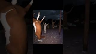 This Feels Like a Fever Dream 😭 | Scary Game 2