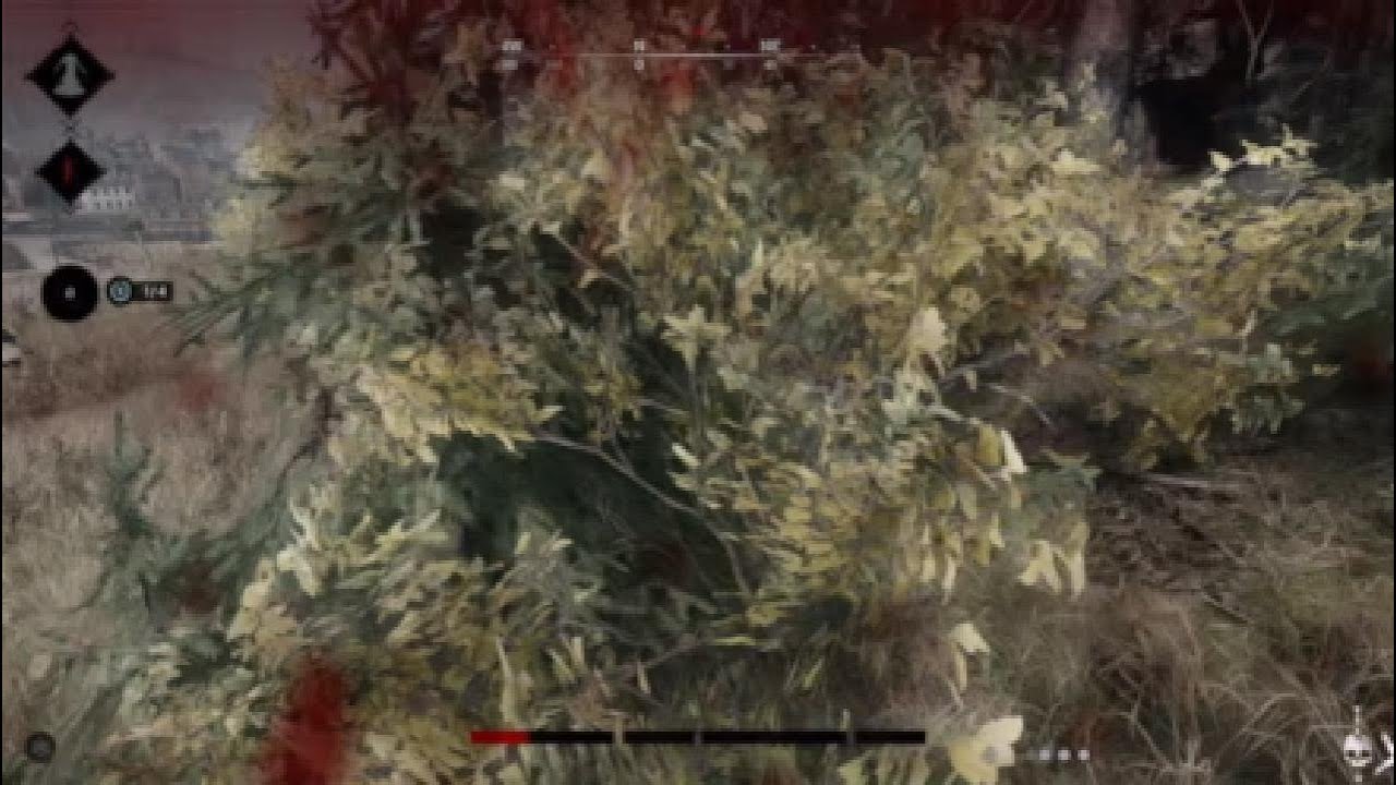 Hunt SHOWDOWN 9 kill game - YouTube