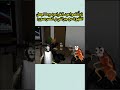 احلى طلعة مع جراني و الصرصور توصيل روين 100الف روبلوكس Roblox تفاعلو لايك اشتراك Shorts احلى طلعة مع جراني و الصرصور توصيل روين 100الف روبلوكس Roblox تفاعلو لايك اشتراك Shorts
