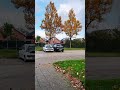#nature #netherlands #almere #autumn #herfst #tamilsong #arrahman #love 🇳🇱