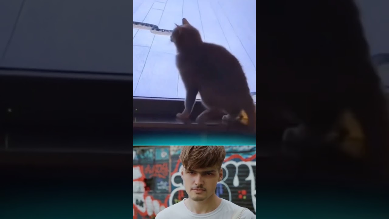 You Laugh, You Lose 🤣😂 