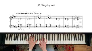 Sleeping Oak - Winter Triptych II - original piano
