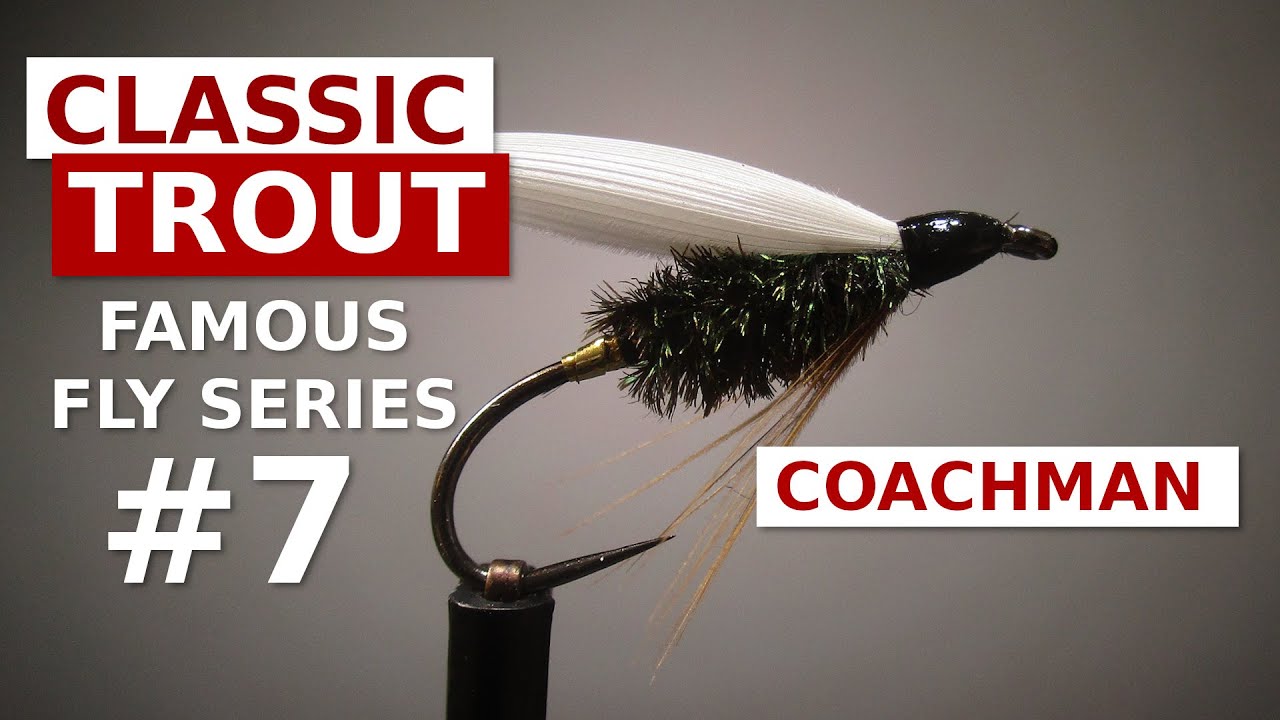 The Coachman - Classic Wet Fly - Trout Fly Tying for Beginners 