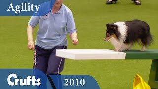 Agility - Medium Team Final 2010 | Crufts Dog Show