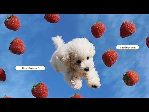 Playlist 🍓 I Actually Love Strawberries the Most ㅣ Pop BGM for Cafes ㅣ Store & Work Music ㅣ HayG