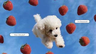 Playlist 🍓 I Actually Love Strawberries the Most ㅣ Pop BGM for Cafes ㅣ Store & Work Music ㅣ HayG screenshot 2