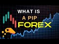 What Is A Pip In Forex Trading? How The Profit Works
