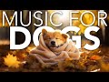 Thunderstorm Dog Music | Healing Tones to Relax Anxious Dogs! [NEW 2023]