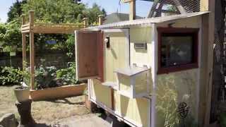 Seattle Tilth s Chicken Coop & Urban Farm Tour YouTube