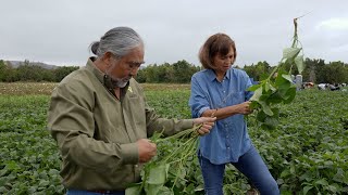 Urban Agriculture in Southern California - America's Heartland by America's Heartland 918 views 9 months ago 5 minutes, 26 seconds