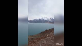 Toshkent Damba Бочка