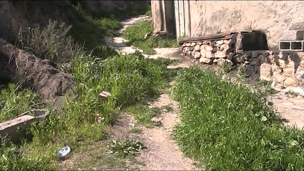 Chemin oublié ( Voujlil / Boudjellil )