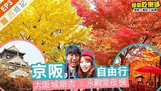 【關西遊記EP3】大阪京都紅葉行程推介｜大阪城銀杏大道＋京都 ...