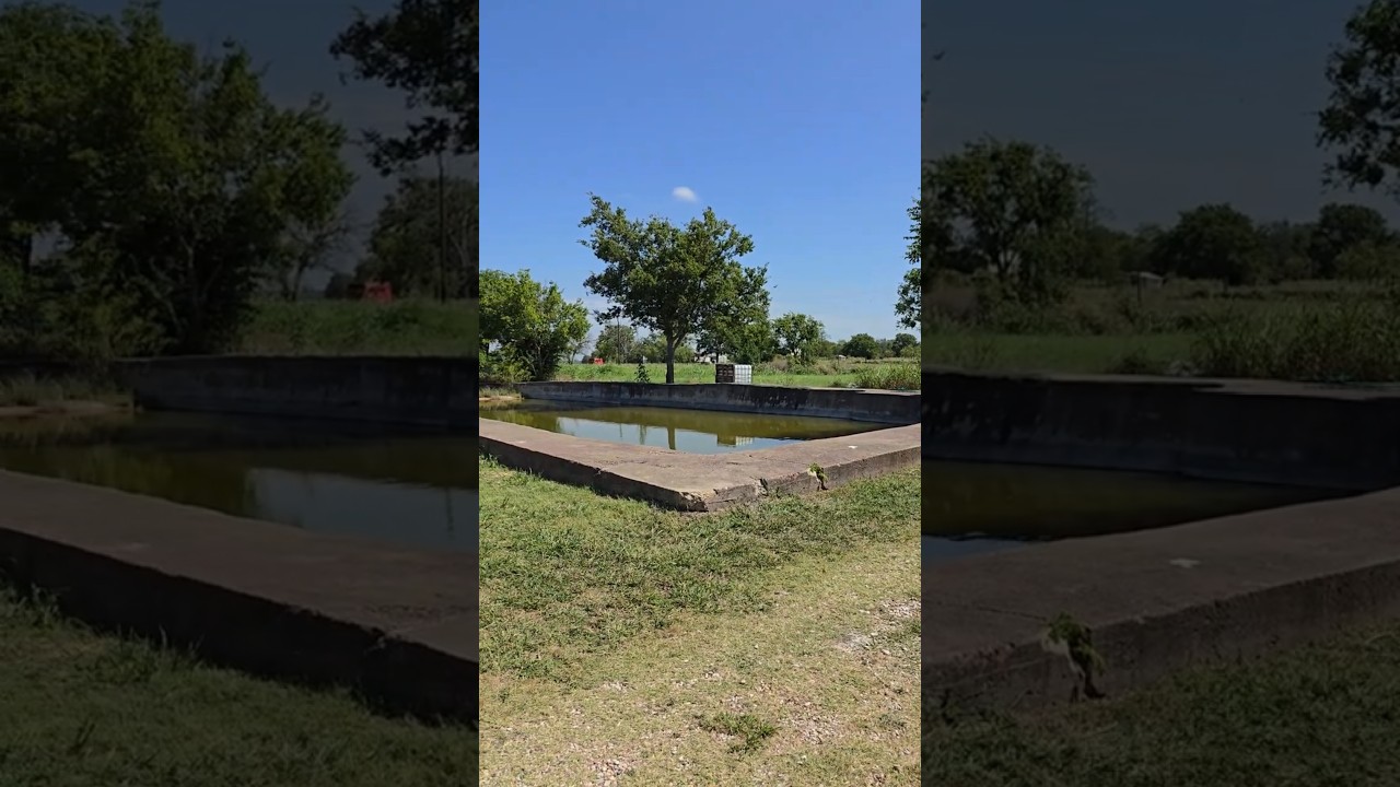 Waco Siege Site, Texas, what it looks like in 2024, very little remains of the Compound. 5 July 2024