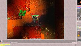 TIBIA -  MATANDO BOT #1