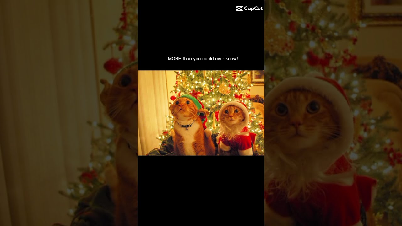 Yall Ready For Christmas