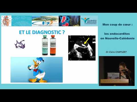 Vidéo: Infection Des Valves Cardiaques (endocardite Infectieuse) Chez Le Chien