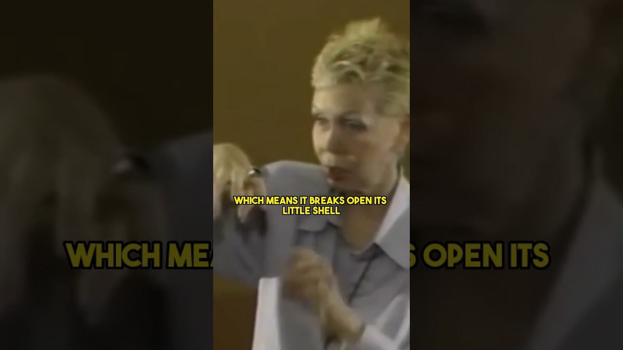 Affirmations: The Seeds of Your Future 