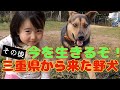 サンタさんの手紙&野犬川北くんの『今』