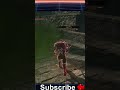 Some Invasions are just Priceless