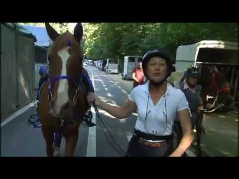 Formation à l'entraînement du cheval d'Endurance - AACIV