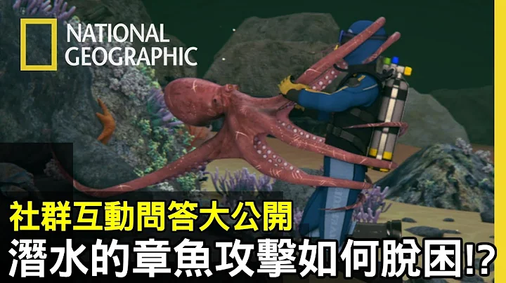 在24米深海中，潜水员忽然被巨大的深海章鱼缠住调节器!!该怎么脱困?【生死选择题】 - 天天要闻
