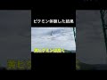 ピクミンやってみたら事故連発www #shorts #ピクミン #pikmin