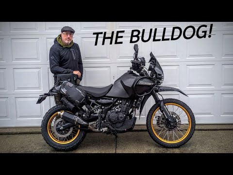 The Meanest RE Himalayan 450 Yet - The Bulldog by Colorado Mark - Wahoo!