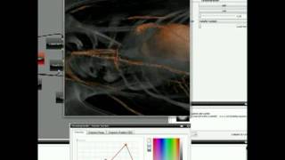 Out-of-Core Multi-resolution Volume Rendering of Large Data Sets