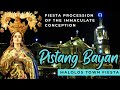 Fiesta procession of the immaculate conception  pistang bayan  malolos cathedral