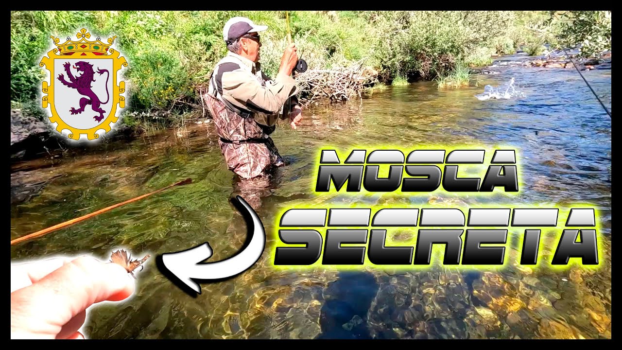 La MOSCA SECRETA de  