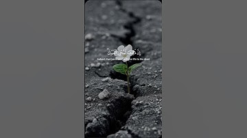 .#فأنظر الى أثار رحمة الله# تلاوة عذبة. #quran #islamicvideo