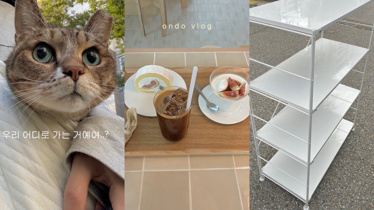 이사하고 카페 운영하는 아주 바쁜일상…^^