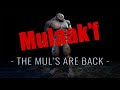 S3e177 the muls are back  l143 mulaakf  fort pandora  calypso